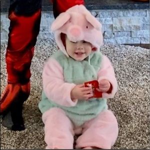 Perfect Condition Pottery Barn Piglet Costume